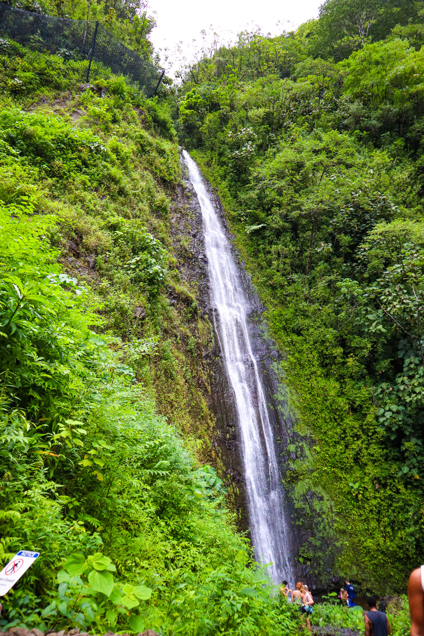 Manoa Falls Hawaii